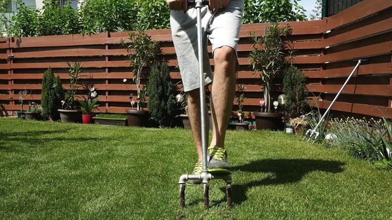 Man using homemade metal lawn aerator on lawn