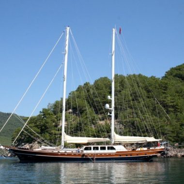 a3