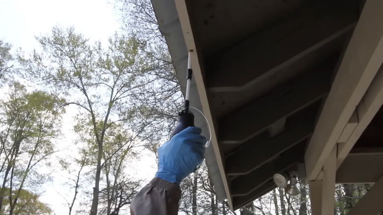 Using a duster to apply insecticide to a carpenter bee nest
