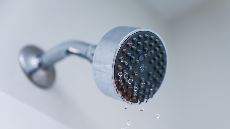 Mounted shower head slightly dripping water
