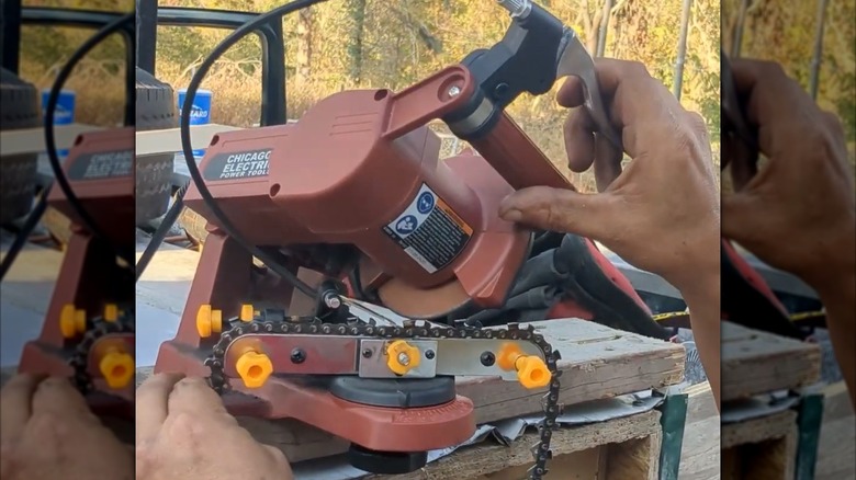 Person sharpening chainsaw chain with Chicago Electric bench sharpener
