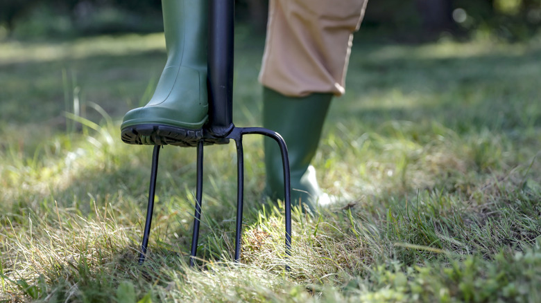 Person using a digging fork to break up soil.