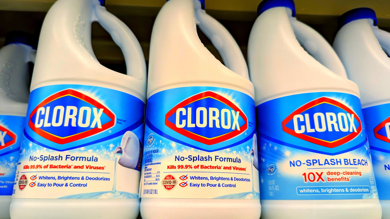 Bottles of Clorox bleach on a store's shelf.