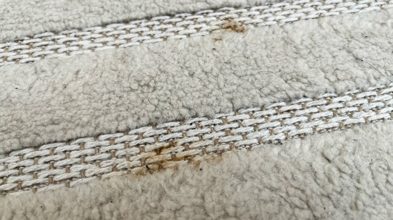 Light brown stains on a dirty gray carpet