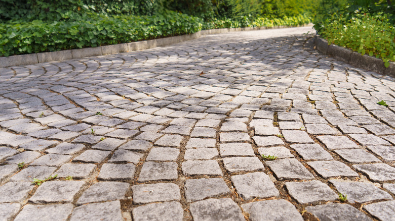 Curved cobblestone driveway with greenery on either side