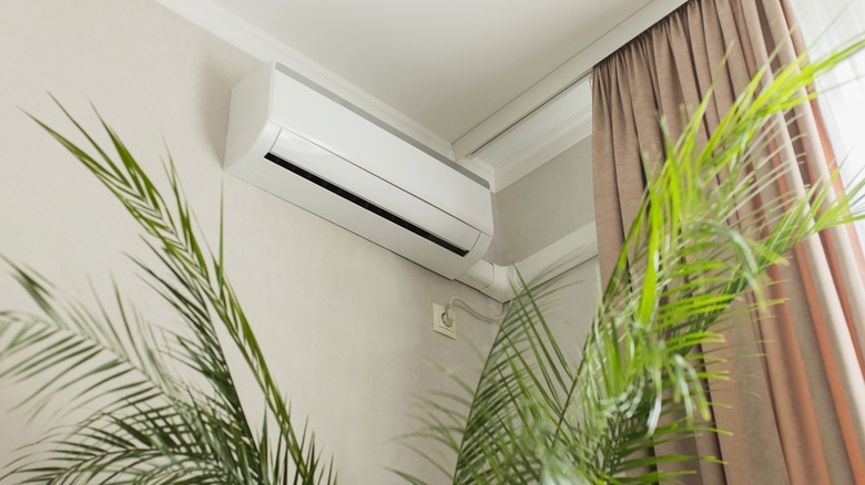 Room air conditioner on wall above a plant and next to a curtain