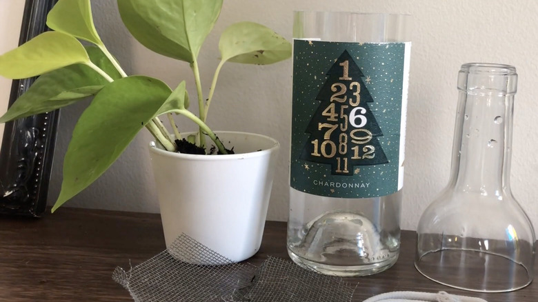Cut wine bottle beside potted plant