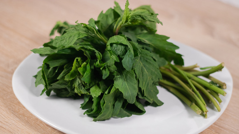 Bunch of epazote on a white plate