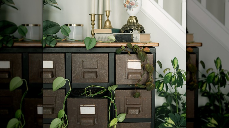 Candlesticks and plants decorate an old metal filing cabinet