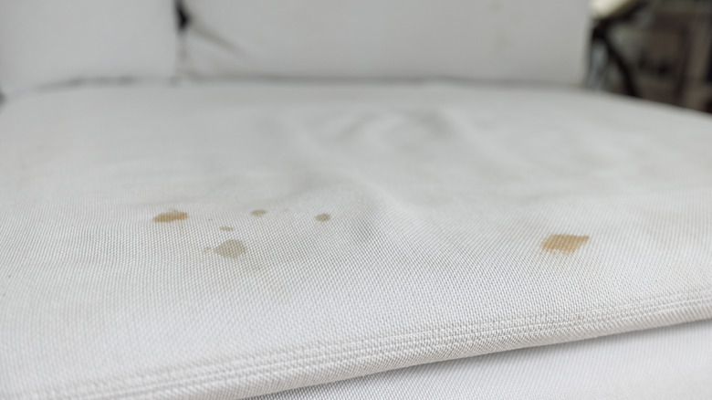 Small brown stains on a white sofa