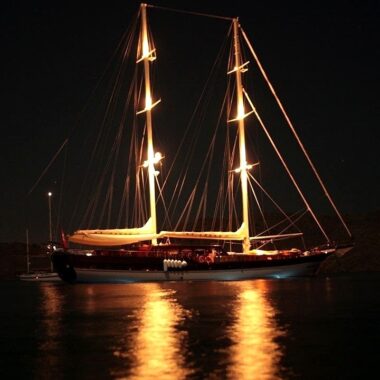 Caner 4 14