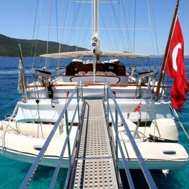 Caner 4 8