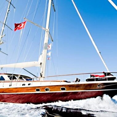 Daima 8