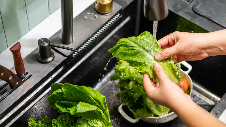 Hands washing salad greens in kitchen sink