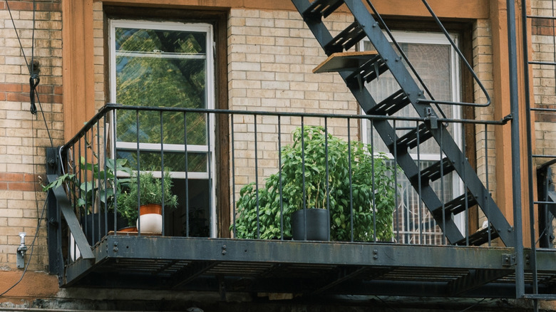 Fire escape with potted plants