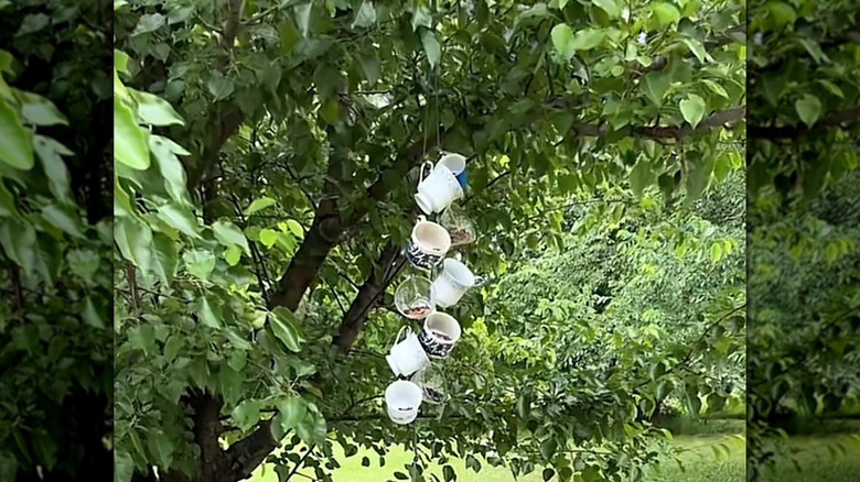A DIY bird feeder rain chain made of vintage tea cups hanging from a tree with green leaves.