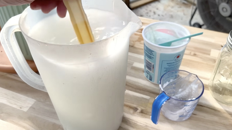 Gardner mixing a yogurt tomato fertilizer