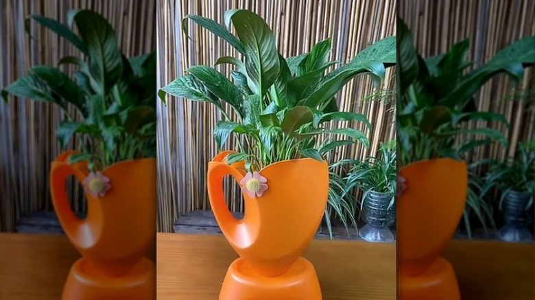 An orange laundry detergent bottle planter with a tall green plant inside.
