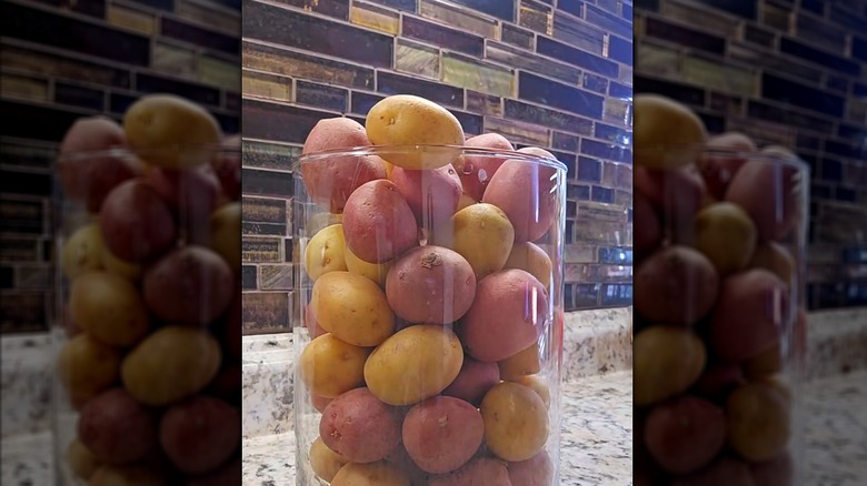 Assorted baby potatoes organized in a glass cup on a granite countertop with a subway style tile backsplash