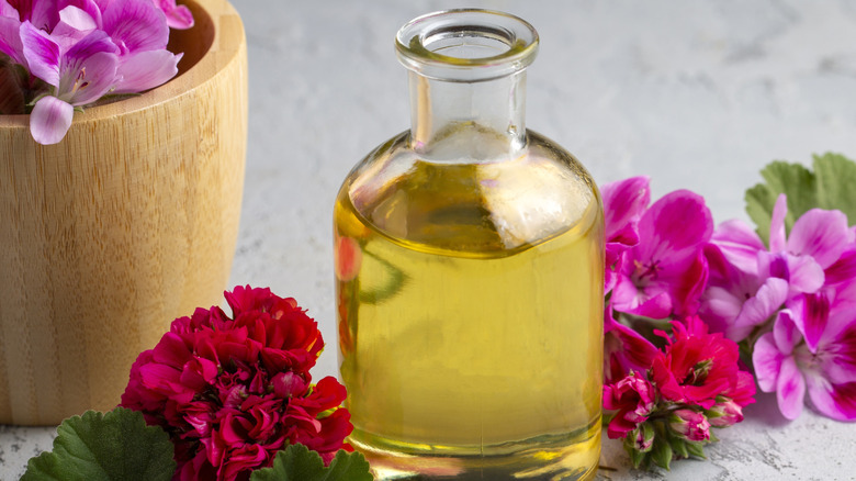 A bottle of yellow essential oil surrounded by pink geraniums