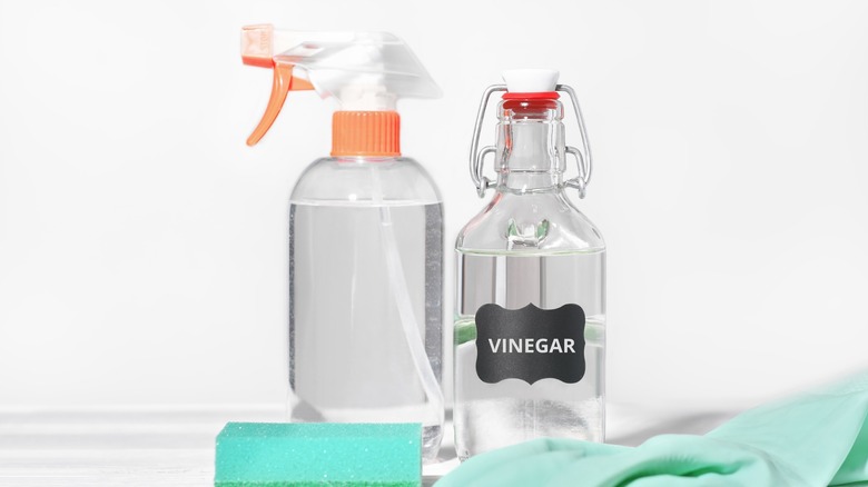 Bottle of vinegar next to spray bottle, rubber glove, and sponge