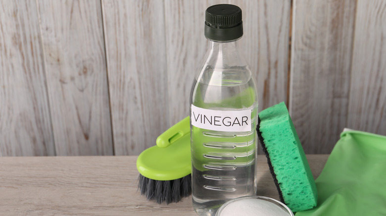 bottle of vinegar with sponge and brush