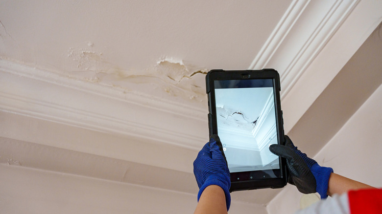 Insurance Adjuster inspecting damages