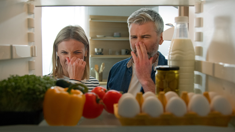 two people holding noses looking into refrigerator