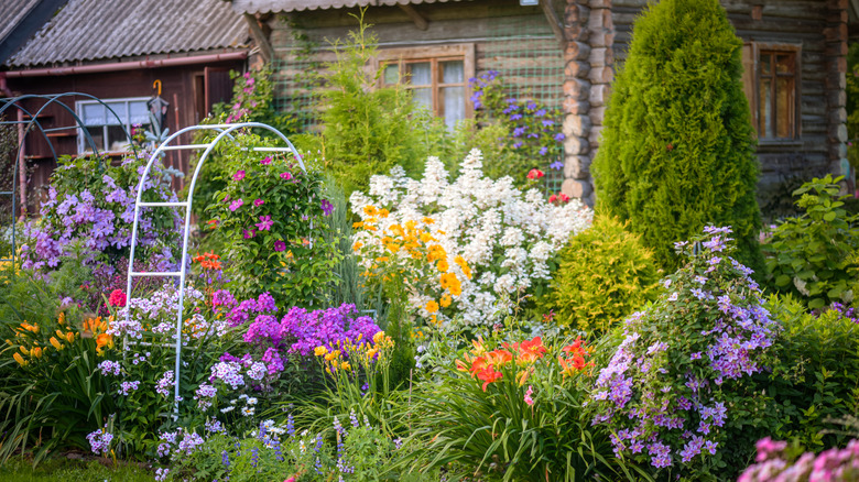 Yard filled with colorful ornamental plants