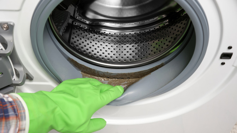 gloved hand looking at mold inside washing machine