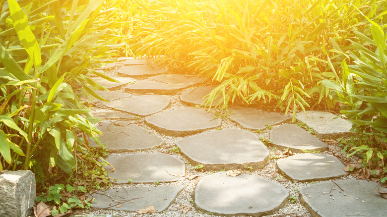 A close-up of a stone walkway winding through tall green grass in the sunlight