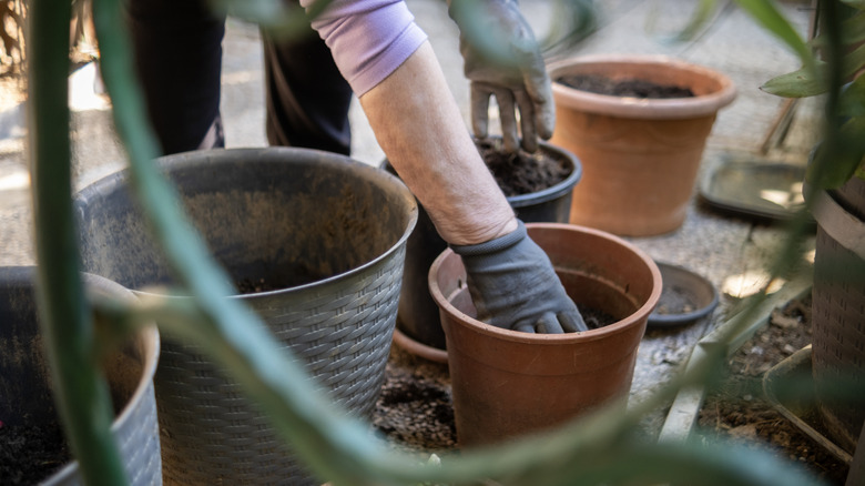 Someone reaching into a planter full of soil.