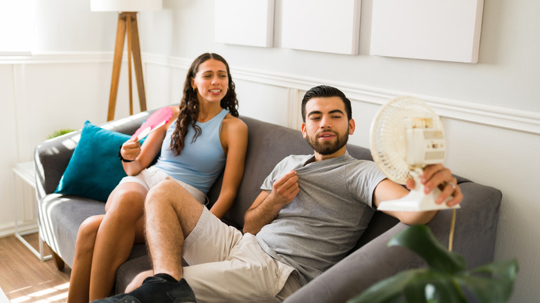 A couple of a small couch are hot and try to cool themselves with a fan.