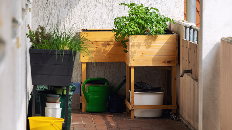 Planters, gardening supplies, buckets on small balcony