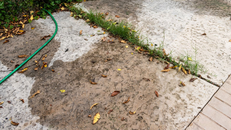 A concrete patio showing its age