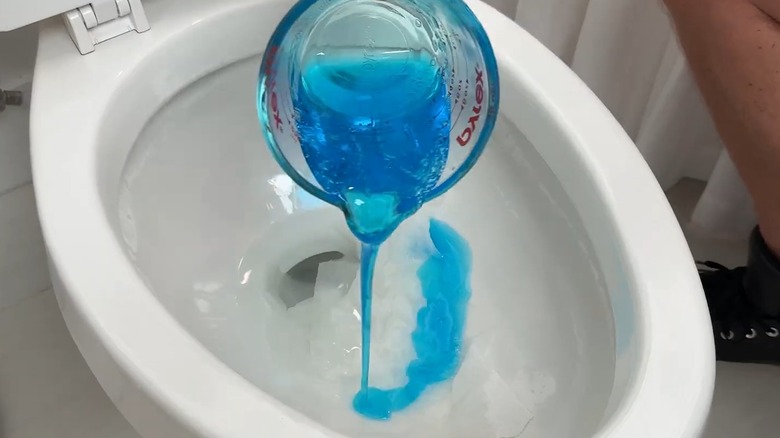 A person pouring dish soap into a toilet bowl