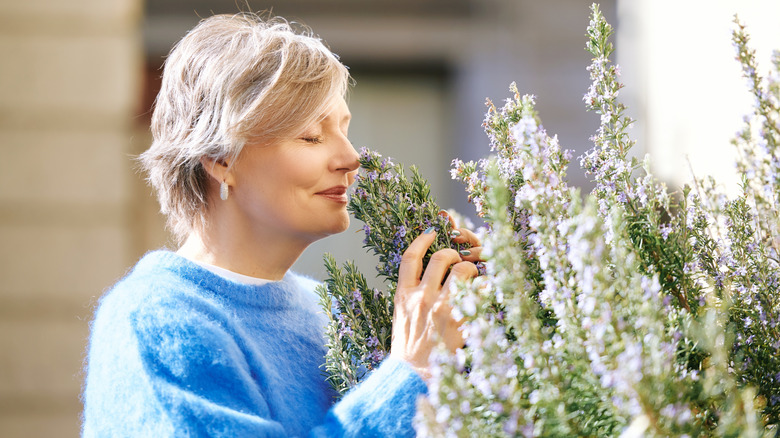 A woman smelling rosemary in her summer garden
