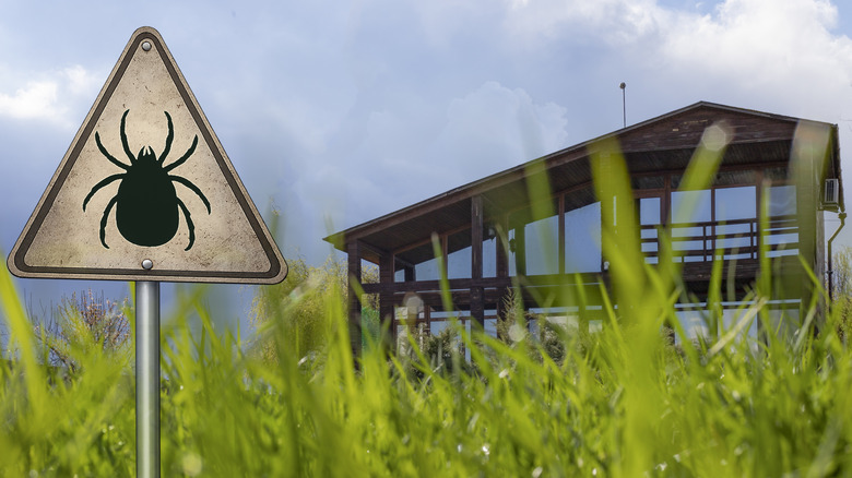 A sign sits among tall grass warning of ticks.