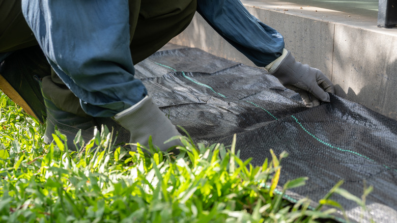 A person kneels to lay thick black landscape fabric as a border.