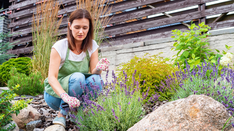 Woman working on landscaped yard