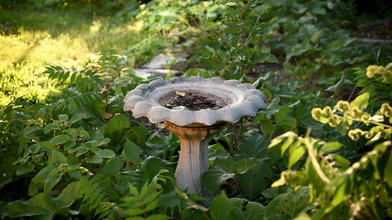 An empty old birdbath