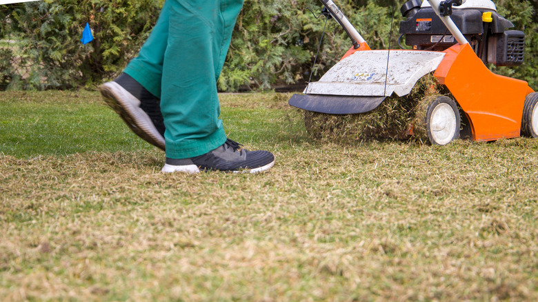 Using person pushing a mower aerator on lawn.
