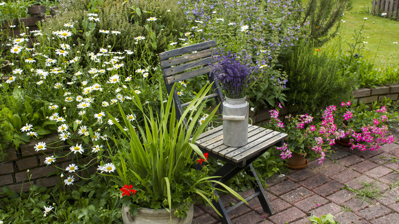 A garden with flowering plants
