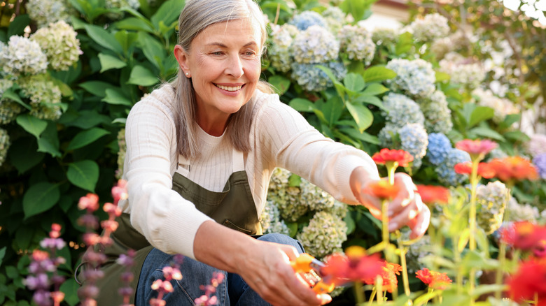 Someone tending to their garden