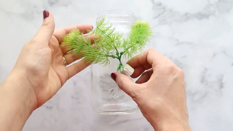 Woman making DIY aquarium using old Mason jar and plastic plant