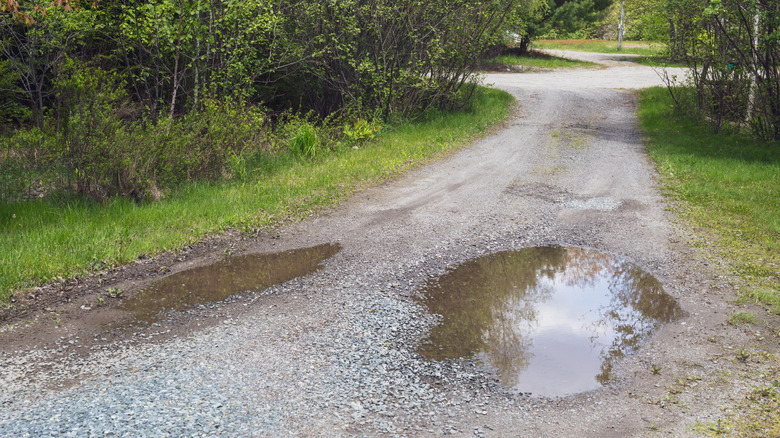 A gravel driveway in need of maintenance