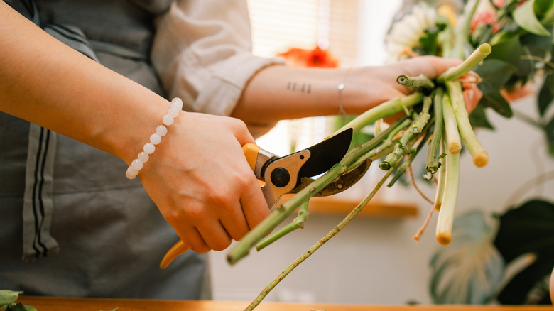 Woman cutting flowers for arrangement