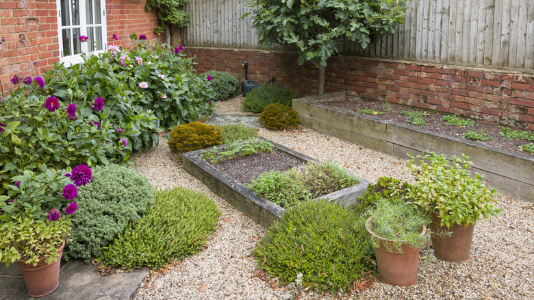 Garden surrounded by gravel