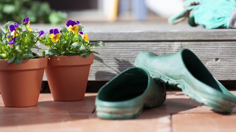 abandoned shoes beside some potted flowers and patio decking