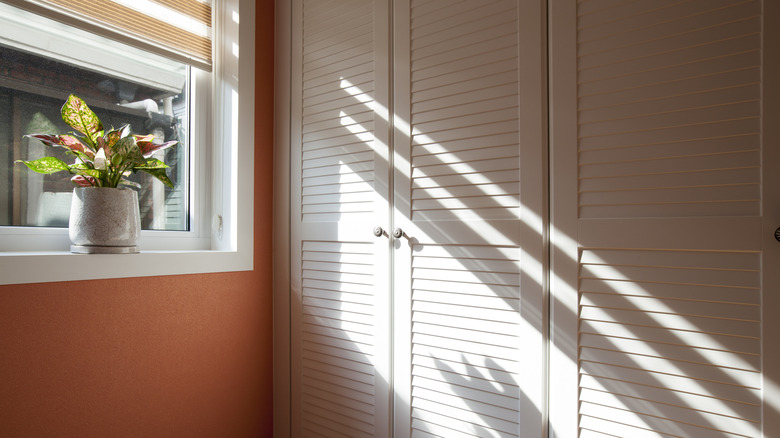 A dated white closet door next to an orange wall and a window with a plant on the shelf